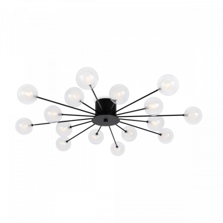 фото Потолочный светильник Freya Celebrity FR5242CL-16B1, черный