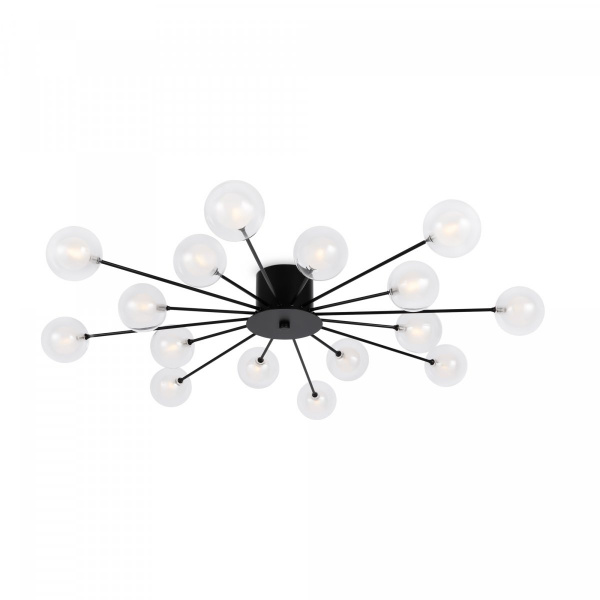фото Потолочный светильник Freya Celebrity FR5242CL-16B1, черный