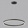фото Чёрный Светильник подвесной LED 50W 3000/4000/6000К 220V ECHO LEDIO, арт. 6530/50L