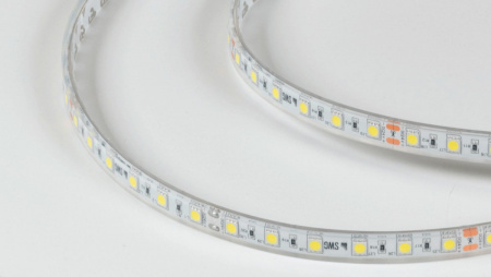 фото Светодиодная лента 5050, 60 LED/м, 14,4 Вт/м, 24В, IP68, Цвет: Холодный белый, SWG560-24-14.4-W-68-M, катушка 5 м