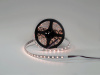 фото Светодиодная лента 5050, 60 LED/м, 19,2 Вт/м, 24В, IP20, Цвет: RGB + нейтральный белый, SWG560-24-19.2-RGB+NW-M, катушка 5 м