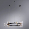 фото Подвесная люстра Arte Lamp VINCENT A7790SP-15BK