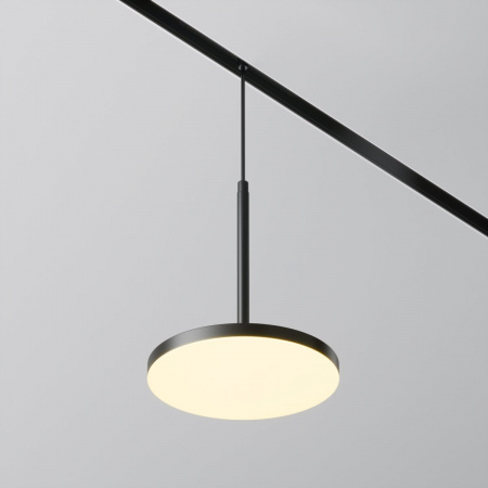 фото Трековый светильник Maytoni Technical Plato TR123-2-15W3K-B, черный