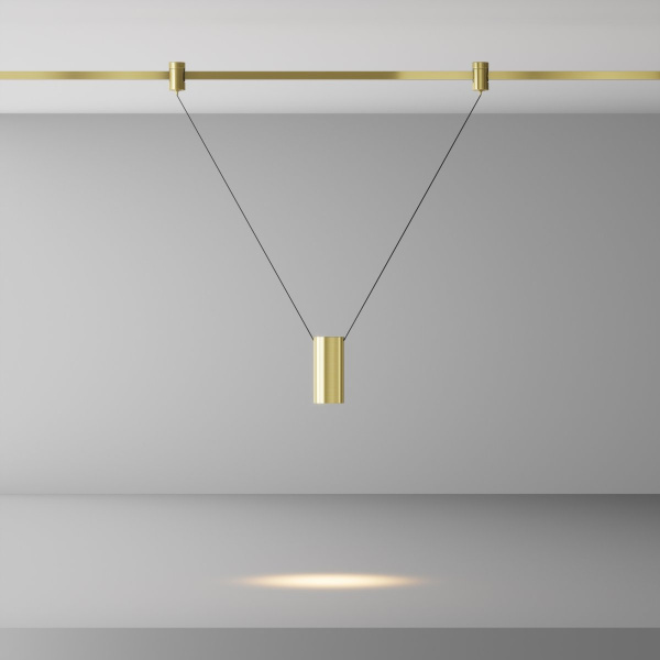 фото Трековый светильник Maytoni Technical Focus Led TR157-1-12W3K-BS, латунь