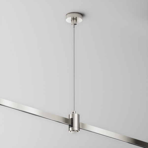 фото Подвес тросовый Hang одинарный Flarity платина Maytoni Technical TRA157SW-S1-PT