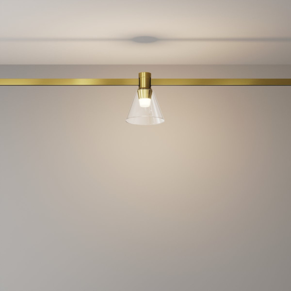 фото Трековый светильник Maytoni Technical Bianca TR147-1-3W3K-BS, латунь