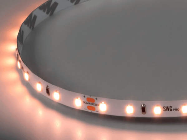 Светодиодная лента SWG PRO 2835, 84 LED/м, 8,6 Вт/м, 24В, IP20, Цвет: Теплый белый, SWG2P84-24-8.6-WW, катушка 5 м