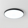 Светильник WC3045LED 45W 3CCT черный