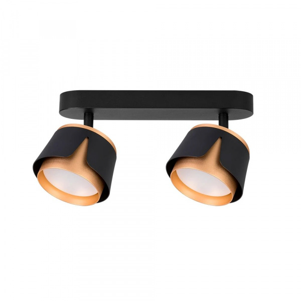 Спот Arte Lamp AMAKS A8028PL-2BK