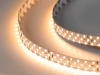 Светодиодная лента SWG PRO 2835, 252 LED/м, 24 Вт/м, 24В, IP20, Цвет: Теплый белый, SWG2P252-24-24-WW-20, катушка 5 м