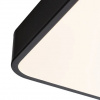 фото Потолочный светильник Arte Lamp SCENA A2669PL-1BK