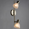 фото Спот Arte Lamp PARRY A5062AP-2AB