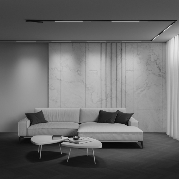 фото Трековый светильник Maytoni Technical Basis TR240-4-12WTW-DD2-B, черный
