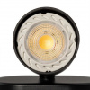 фото Спот Arte Lamp AQUARIUS A3226AP-1BK