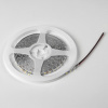 фото Лента LED 24V 5W 5m/roll 3000K без клейкой ленты Lightstar 420543-02
