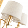 фото Подвесная люстра Divinare FLORENCE 6819/19 SP-6