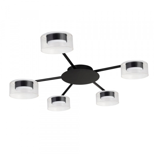 Потолочная люстра Arte Lamp ALIUS A8042PL-5BK