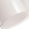 фото Подвесной светильник Arte Lamp ARIES A8983SP-1CC