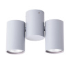 Спот Arte Lamp GAVROCHE A1511PL-2GY
