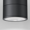 фото Уличный потолочный светильник Maytoni Outdoor Spin O310CL-L12GF3K, графит