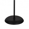фото Торшер Arte Lamp DUETTO A9569PN-2BK