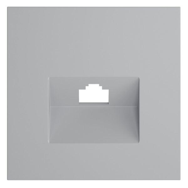 фото Накладка для розетки компьютерной RJ45 кат.6 и розетки телефонной RJ11 кат.3, S70 (серый)