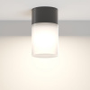 фото Уличный потолочный светильник Maytoni Outdoor Willis O418CL-01B, черный