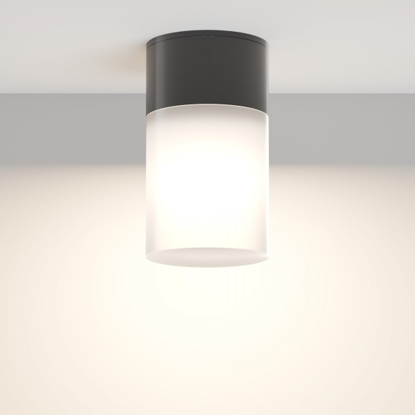 фото Уличный потолочный светильник Maytoni Outdoor Willis O418CL-01B, черный
