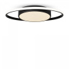 фото Потолочный светильник Freya Cosmic FR10015CL-L62B, черный