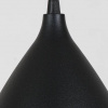фото Подвесной светильник Arte Lamp LARK A7075SP-1BK