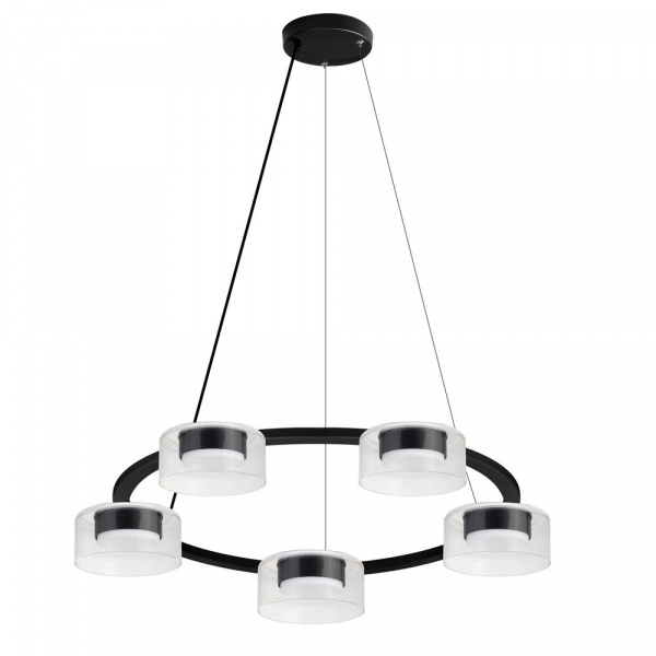 Подвесная люстра Arte Lamp ALIUS A8042SP-5BK
