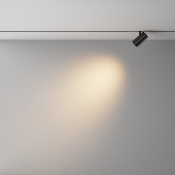 фото Трековый светильник Maytoni Technical Focus Led TR243-4-12WTW-DD2-B, черный