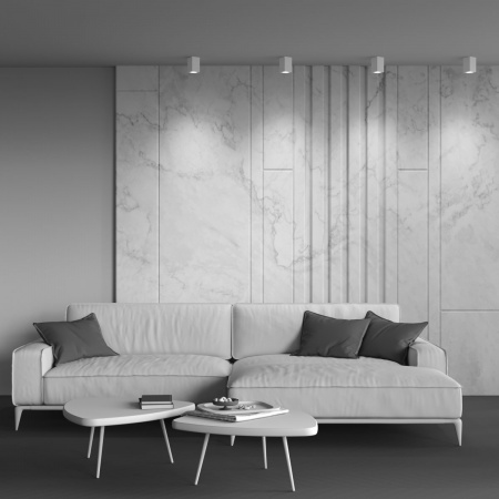 фото Потолочный светильник Maytoni Technical Focus C011CL-01W, белый