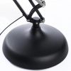 фото Торшер Arte Lamp GOLIATH A2487PN-1BK