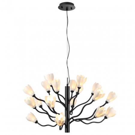 фото Черный матовый/белый/фарфор Люстра G4 LED 18*5W GARDI MODERN, арт. 5090/18