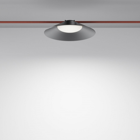 фото Трековый подвесной светильник Maytoni Technical Campana TR127B-12W4K-B, черный