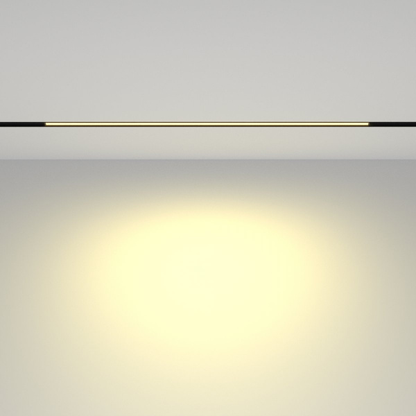 фото Трековый светильник Maytoni Technical Basis TR030-2-24W2.7K-B, черный