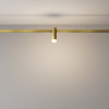 фото Трековый светильник Maytoni Technical Skim TR145-1-3W4K-W-BS, латунь