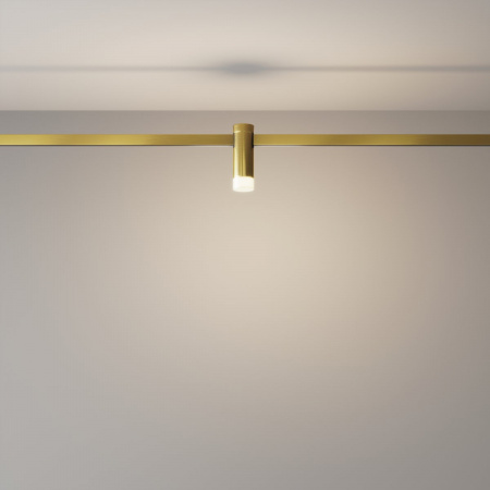 фото Трековый светильник Maytoni Technical Skim TR145-1-3W4K-W-BS, латунь