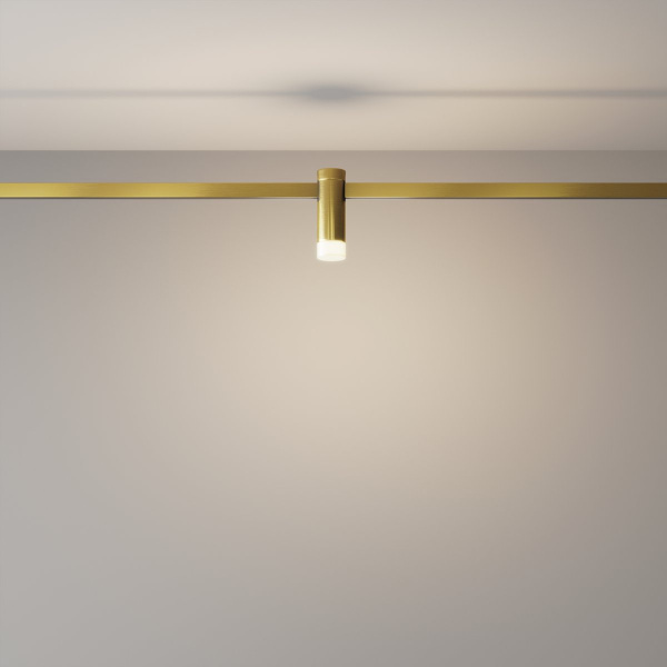 фото Трековый светильник Maytoni Technical Skim TR145-1-3W4K-W-BS, латунь
