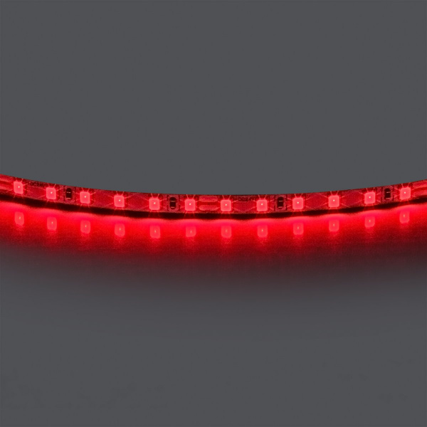 Лента цветного свечения 24V, красный Lightstar 420511