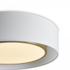 фото Потолочный светильник Freya Cozy FR6170CL-L52BS, латунь