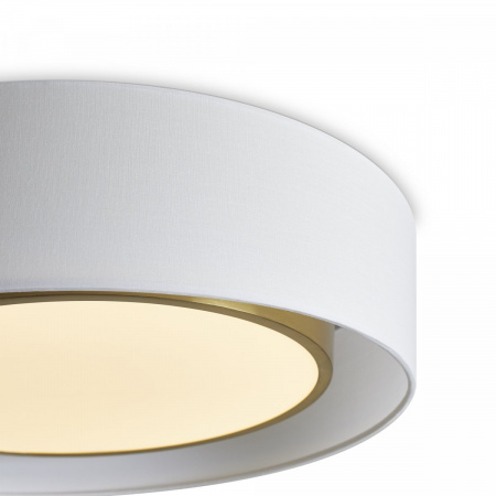 фото Потолочный светильник Freya Cozy FR6170CL-L52BS, латунь
