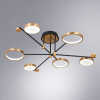 фото Потолочная люстра Arte Lamp HOLLY A1364PL-6PB