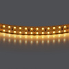 Лента теплого белого свечения 24V Lightstar 421503