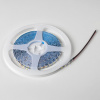 фото Лента LED 24V 5W 5m/roll 4000K с клейкой лентой Lightstar 420544-01