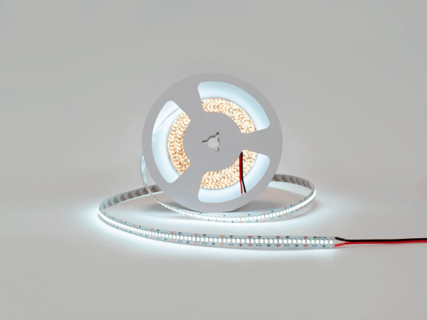 Светодиодная лента SWG Standard, 2835, 240 LED/м, 20 Вт/м, 24В, IP20, Цвет: Холодный белый, SWG2240-24-20-W-M, катушка 5 м