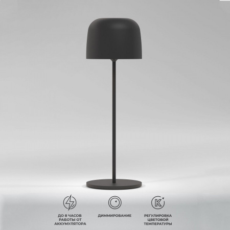 фото Компактный светодиодный настольный светильник Bitty чёрный IP54 TL70260