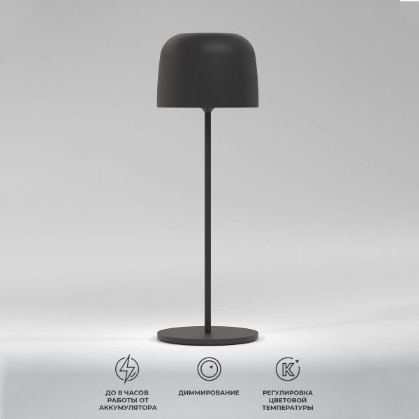 фото Компактный светодиодный настольный светильник Bitty чёрный IP54 TL70260
