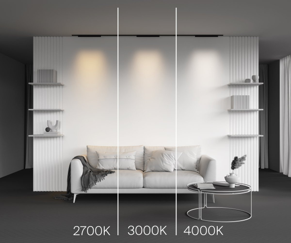 фото Трековый светильник Maytoni Technical Points TR193-1-20W2.7K-M-B, черный